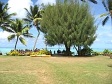 ムリビーチコンバーイメージ